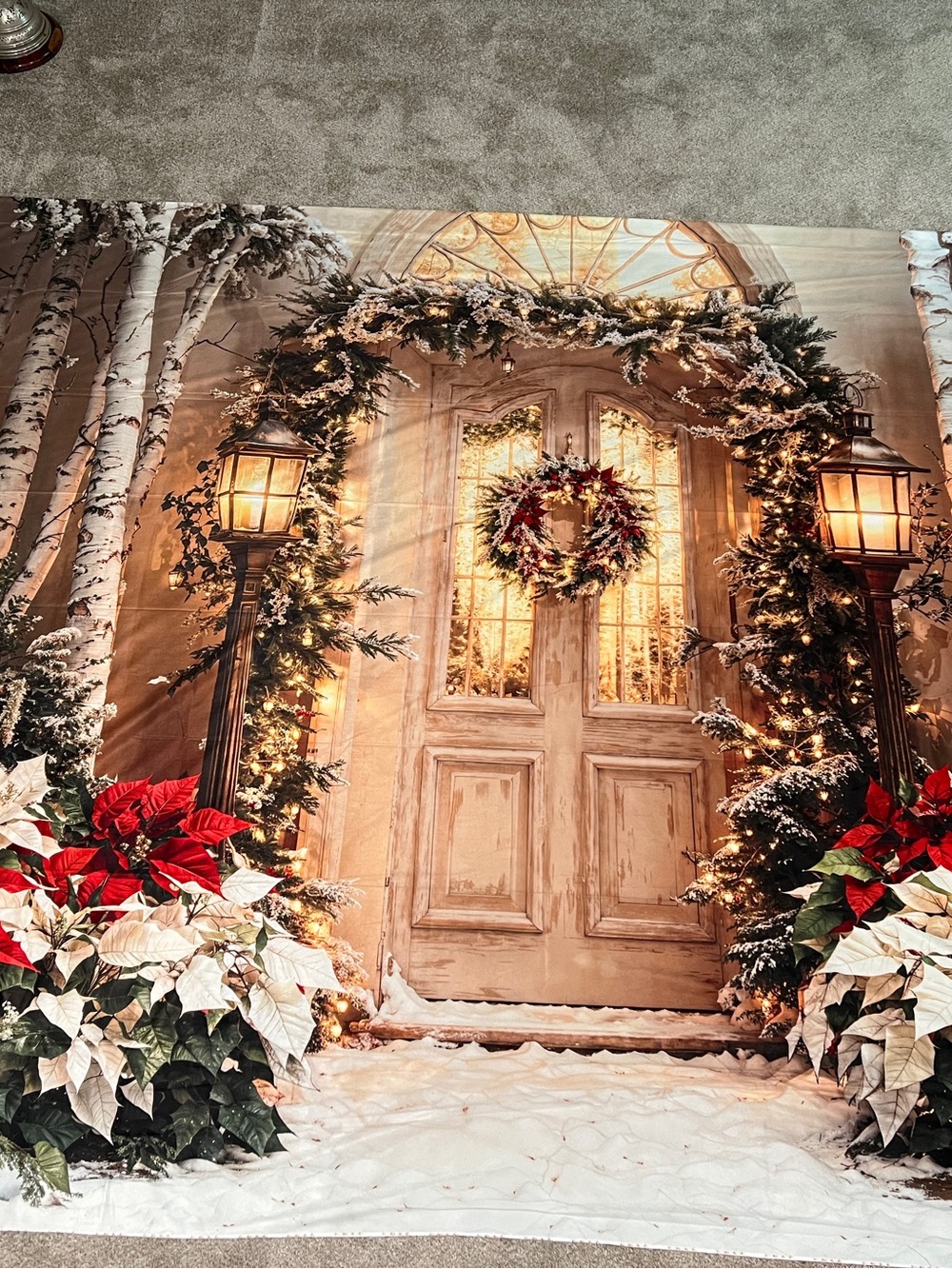 Kate Christmas Winter Scene Setter Backdrop